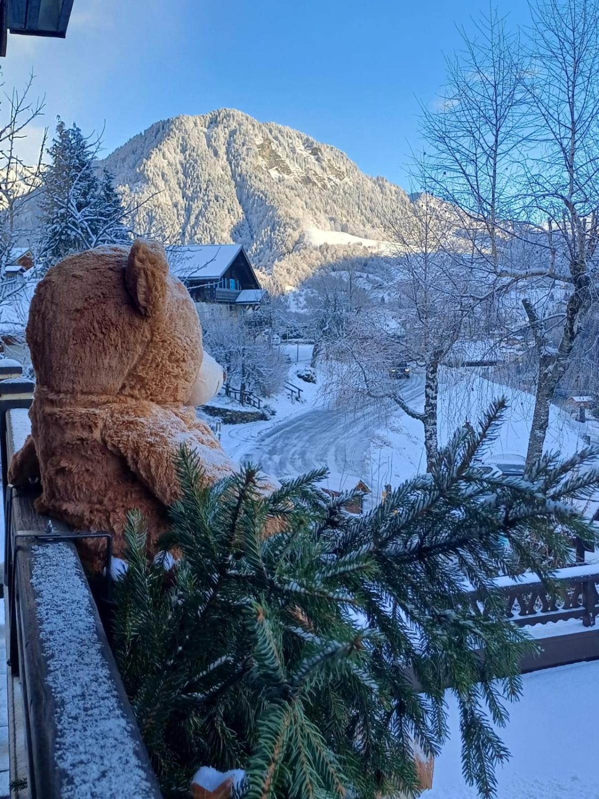 Chalet Appart'Hotel L'Eau Vive Saint-Nicolas-la-Chapelle  Exteriör bild